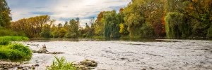 Die Isar fließt durch die grünen Isarauen in Freising, umgeben von üppigen Bäumen.