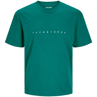 T-Shirt mit Logo-Print grün_DEEP TEAL | 3XL
