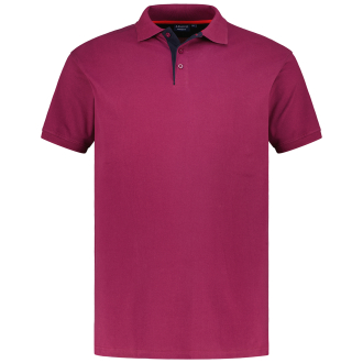 Poloshirt aus Baumwolle beere_570 | 3XL