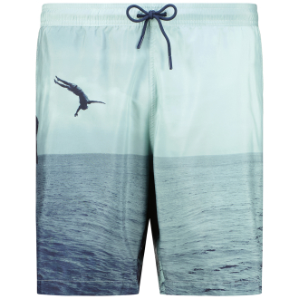 Badeshorts mit Foto-Print blau/grün_60F2 | 4XL