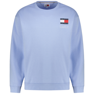 Sweatshirt mit Logo-Print hellblau_C3S | 4XL